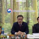 Friday Forest 이미지