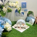 디어마이독 이미지