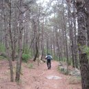 신산삼거리 이미지