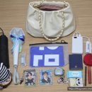 서울인마이백 이미지