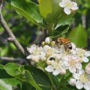 창공농장 이미지