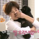 꼬순내 이미지