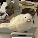 사람 그리고 새 | 갈색쿠쿠의 첫 남구 카페 후기. 앞산 카페 새소리