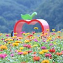 화원메디칼 이미지