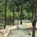 황룡목욕탕 이미지