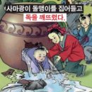 염*일