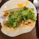 따꼬 Daum카페
