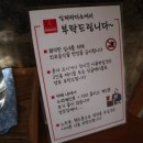 일파라디소