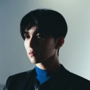 이중인 묘 이미지