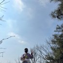 맘스터치(평택소사벌점) 이미지