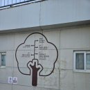 판다오라 이미지