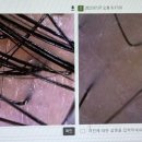 대전롯데 헤드 이미지