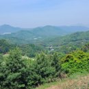 통산1목장 | 이천 관진봉외 7산