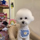 살롱드베베 이미지