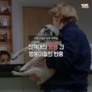 대신동물병원 이미지