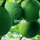 창조농장 이미지