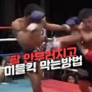 라온 킥복싱 아카데미 이미지