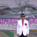 둔배미 Daum카페