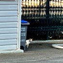 가야산펜션 | 경북 성주 가야산 펜션 포천 파크