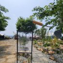 김용식 사무소 | 아름다운 호미정원_2024서울정원박람회_2탄