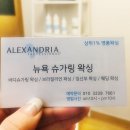 뉴욕슈가링