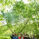 미리농장 이미지