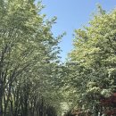 (주)팔복 이미지