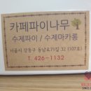 카페파이나무