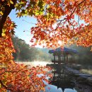 내장산문화광장 | 내장산국립공원, 6회 연속 ‘한국 관광 100선’ 선정…