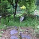 해룡농장 이미지