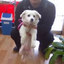 한얼동물병원 이미지