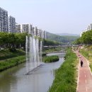 안산천 이미지
