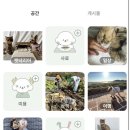 담하도자기 이미지