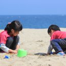 진하해수욕장 이미지