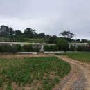 화태초여동분교장 이미지