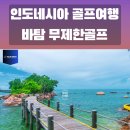 제주시니어클럽핸즈몰 | 인도네시아 골프여행 바탐 골프 패키지 무제한골프