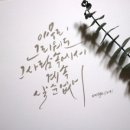 붓펜 캘리그라피 4주 입문과정