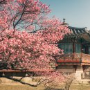 사과나무관광호텔 이미지