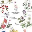 가토디자인