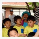 대하체육관 이미지