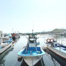 동우민박 이미지