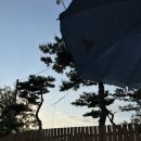 태훈카 Daum카페