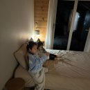 그리니제주 | 그리니 제주 에어비앤비보다 알뜰예약 후기