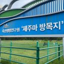 제주특별자치도 축산생명연구원 | 제주 동쪽 드라이브 코스 제주마방목지 위치 주차