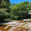 술샘막국수 이미지