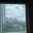 하단sk뷰 맞은편 | [공지] 수원 정자동 SK뷰 49평 아파트 유리창 청소 &amp; 방충망 교체 – 두번째 이야기