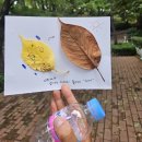 상우재 | [인천 촌캉스] 오디너리 동인천 마무리 Ep3 : 상우재 조식, 숲속 아침 요가, 제물포 구락부, 광신제면소...