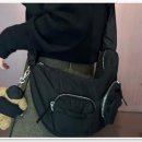 부산 강아지분양 디테일퍼피 이미지