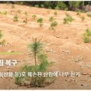 국제가든 이미지