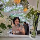 임신 30주~33주 증상/일상/셀프만삭촬영/만삭사진포즈/호캉스/노을멜론 케이크 만들기